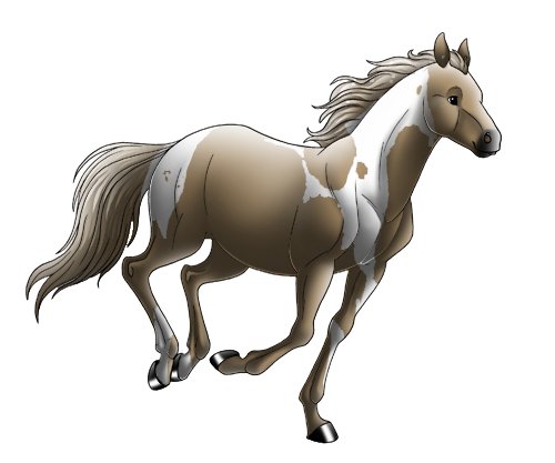 Quarter Horse
